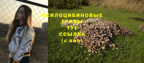 гидра Вязники