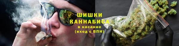 apvp Вяземский