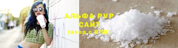 apvp Вяземский