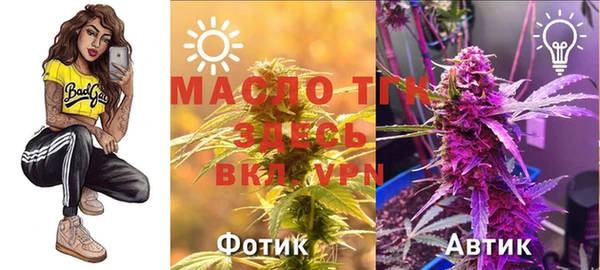 apvp Вяземский