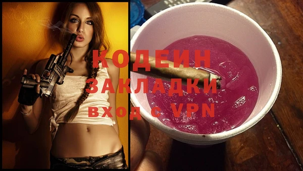 apvp Вяземский