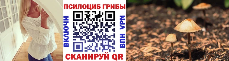 Купить закладки  Лысково  Псилоцибиновые грибы MAGIC MUSHROOMS 